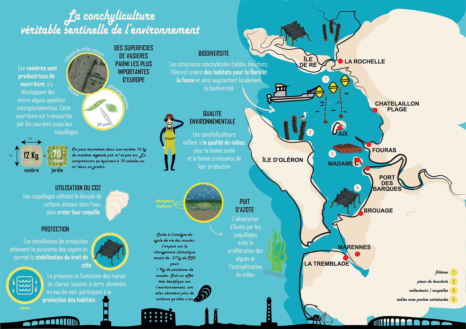 Environnement & conchyliculture, un écosystème préservé | Comité Régional de la conchyliculture Charente-Maritime