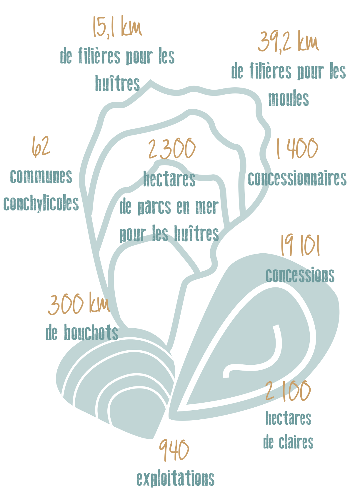 conchyliculture en Charente Maritime