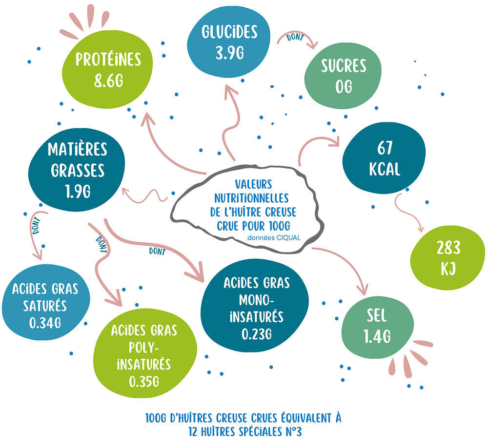 qualites nutritionnelles huîtres