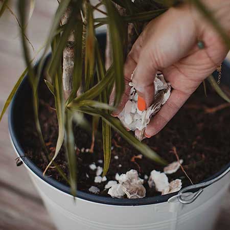 recyclage maison coquilles d'huîtres Charente Maritime